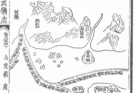 Parameswaras Flucht – Die Gründung von Malakka
